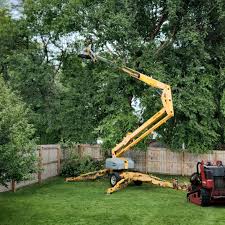 Best Commercial Tree Services  in Woodstown, NJ