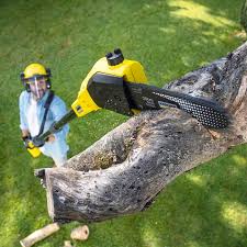 Lawn Maintenance Plans in Woodstown, NJ