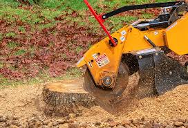 Best Utility Line Clearance  in Woodstown, NJ