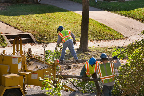 Best Weed Control  in Woodstown, NJ