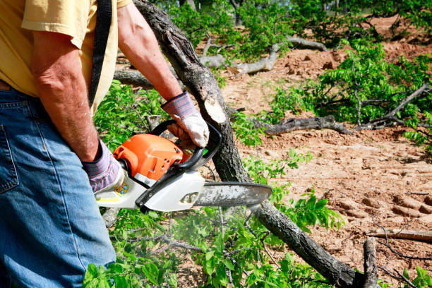 Best Lawn Irrigation Installation and Maintenance  in Woodstown, NJ